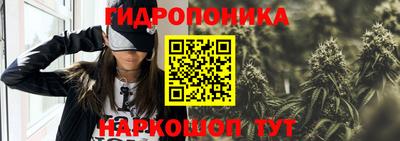 мяу мяу мука Будённовск