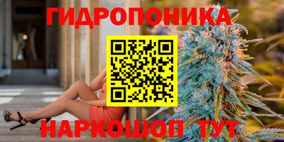 прущие грибы Апшеронск