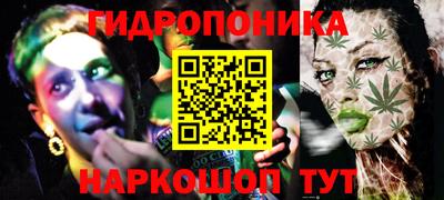 прущие грибы Апшеронск