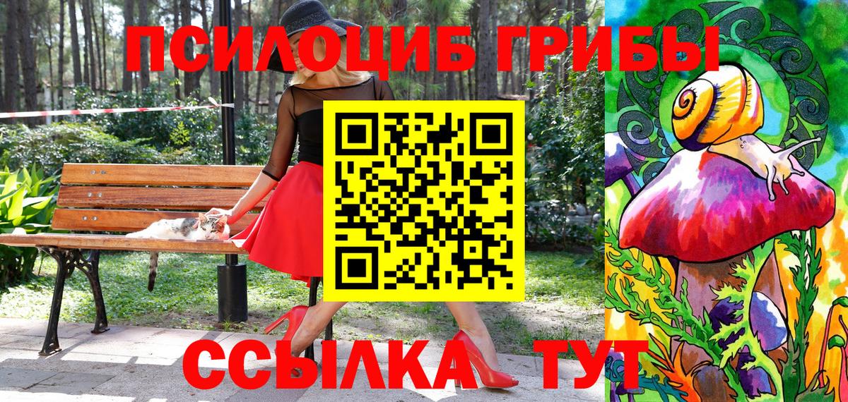 Псилоцибиновые грибы мухоморы  Вход с VPN  Галлюциногенные грибы GOLDEN TEACHER  Вышний Волочёк 