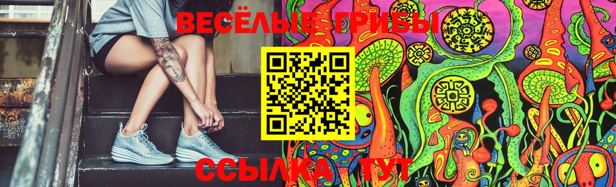Псилоцибиновые грибы Psilocybine cubensis Вышний Волочёк