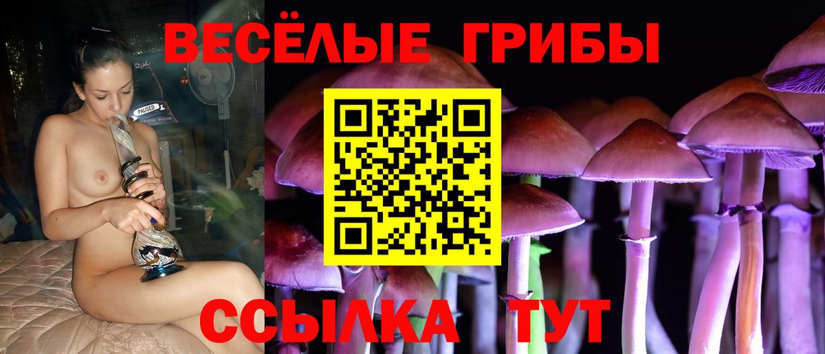 Галлюциногенные грибы мухоморы  где купить   Вышний Волочёк 